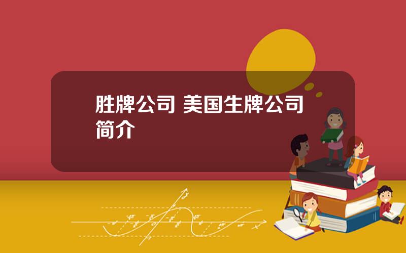 胜牌公司 美国生牌公司 简介